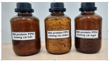 Quy trình sản xuất các sản phẩm giá trị cao từ phế phẩm xương cá